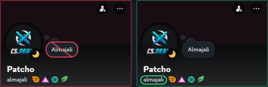 An imitation username in the profile bio next to a real username on the profile