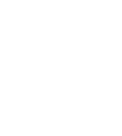 Euro and USD bank transfers covering most of the world payment method